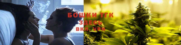 шишки Верхний Тагил